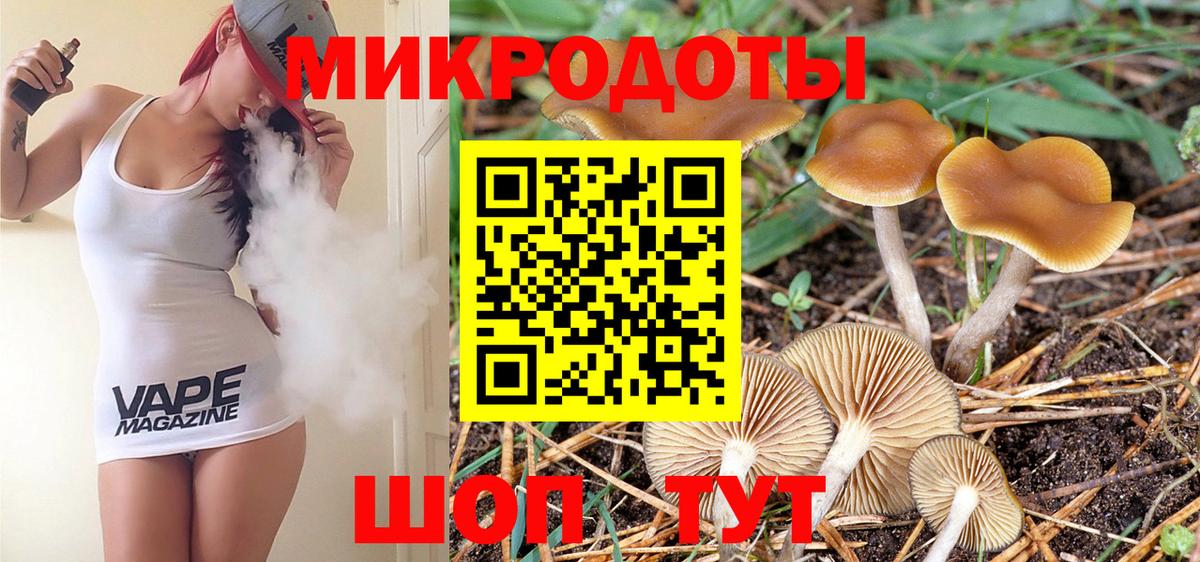 Галлюциногенные грибы ЛСД  где найти наркотики  Галлюциногенные грибы Psilocybe  Дубна  Вход с VPN 